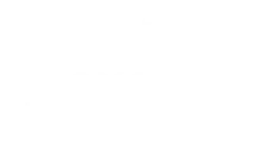 Vision Engineering Manufacturing Services Logo